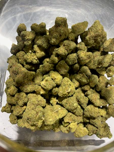 Green Paradise - Green Paradise- White 99 Deli Flower