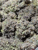 *Very Limited* Mikongo #9 | Brazen Earthworx