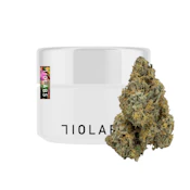 710 Labs - Flower - Indoor - Hazel Nut Piff #8 - 3.5g