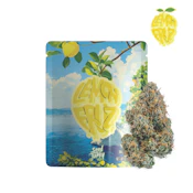 Seed Junky - Lemon Fruz - 3.5 g