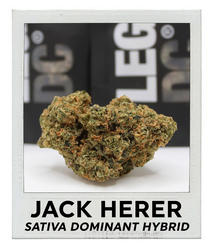 Jack Herer | Ounce