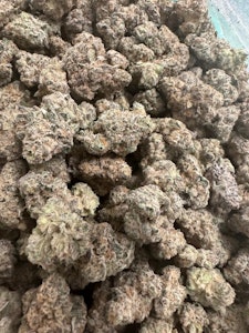 BELUSHI'S FARM - S.A.G.E