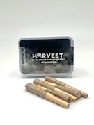 Harvest - Ghost Train Haze - 5pk infused prerolls