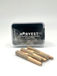Harvest - Harvest - Ghost Train Haze - 5pk infused prerolls