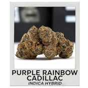 Purple Rainbow Cadillac