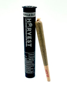 Harvest - Harvest - Gorilla Glue - 1.25g Infused Preroll