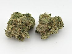 Hawaiian Dutch Flower
