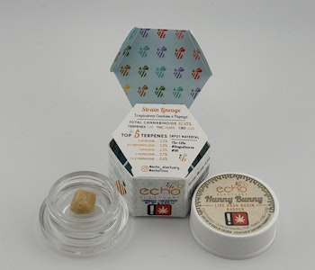 ECHO ELECTUARY - Echo | Dab Rosin 1g [H] | Hunny Bunny 