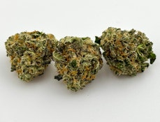 High Noon | Buckaroo | B buds (2364)