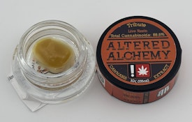 Altered Alchemy - Live - Tribute Indica - 1g