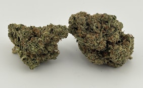 Sugarbud | Blueberry Cheesecake (I) | (5511)
