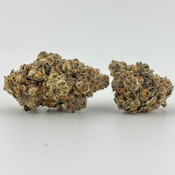 High Noon | Stuffed Cherry Gelato [I] | A Buds | (2478)