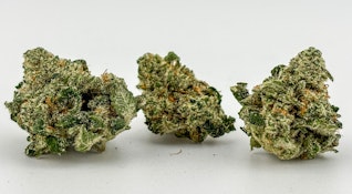 High Noon | Lemon G x Dosido [H] | B Buds | (2523)