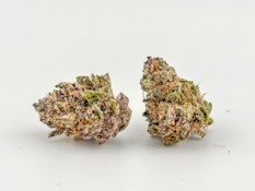 High Noon | Garlic Fusion [S] | B Buds | (2513)