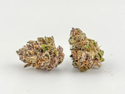 High Noon - High Noon | Flower (B-Buds) [S] | Garlic Fusion (2513)