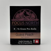 Focus North | 8pk Preroll | Guava Peach