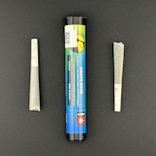 Derby's | 2pk Prerolls S | Grave Rose