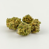Alta Gardens | Flower (B-Buds) [I] | Black magic    