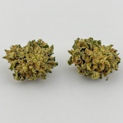 Alta Gardens | Flower (B-Buds) [S] | 10 Gs          