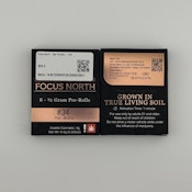 Focus North | 8pk PR [I] | #34