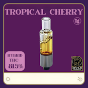 Mule | Cart LR 1g [H] | Tropical Cherry