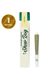 DOGWALKERS - L'Orange Infused Big Dog Pre-Roll - 1g