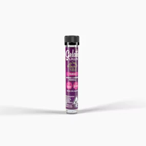 GELATO - Gelato - 1.2g Infused Preroll - Grand Daddy Purple