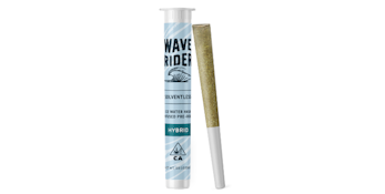 Infused - Orange Gelato - 1g (H) - Wave Rider