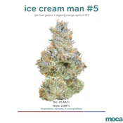MOCA Flowers - 1/8th Mylar Bag - Ice Cream Man #5