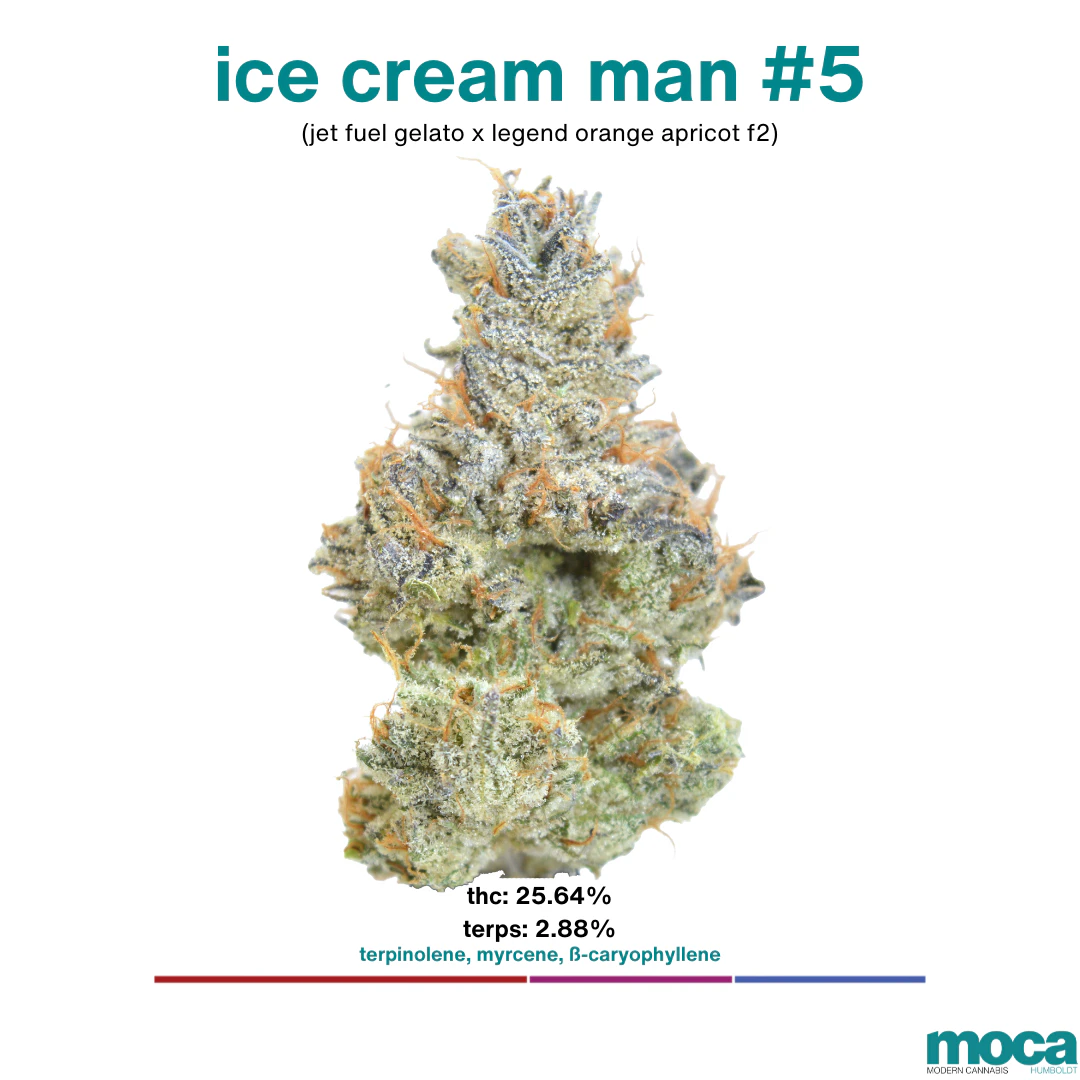 MOCA Flowers - MOCA Flowers - 1/8th Mylar Bag - Ice Cream Man #5 Main Image