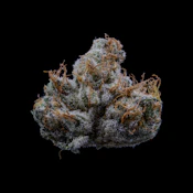 Jar Co. | Ice Cream Mints | 3.5g [I]