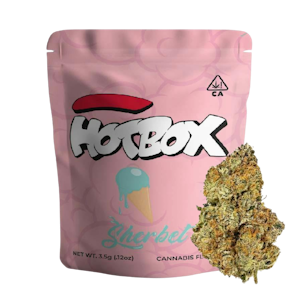 HOTBOX™ - Ice Cream Sherbet (H) | 3.5g Indoor Flower | Hotbox