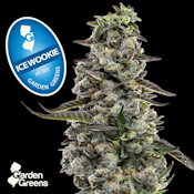 [REC] Garden Greens | Ice Wookie | 7g Big Bud Flower