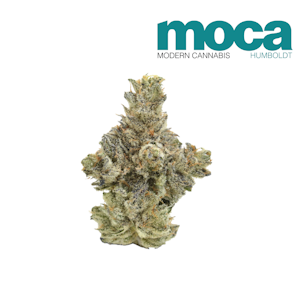 Moca - Ice Cream Man #5