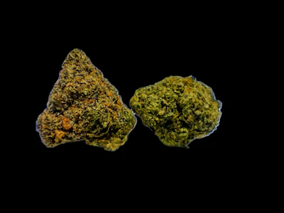 CHRONICSEUR FARMS - Ice Cream Cake- 50:50 Hybrid - bulk smalls