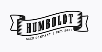 Humbolt - Blueberry Muffin - 10 Seeds