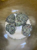 Pre-Packaged-IX | Unbound | Illemonati | 3.5g 3.5g Packaged Buds