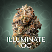 Illuminate OG - 3.5G Jar By Blossomz