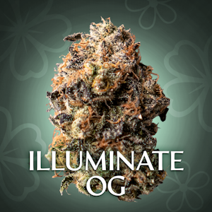Blossomz - Illuminate OG - 3.5G Jar By Blossomz