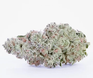 Pure Beauty - Pure Beauty - Pink Panther - 3.5g - (Indica)