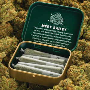 DOGWALKERS - NapFlix | Dogwalkers |1.75g | Mini Dogs | 5 Pre-rolls | "Sit"