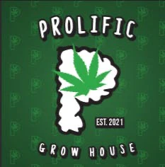 Prolific Growhouse - Bubba Kush Pre-Roll 1g Main Image