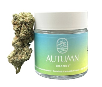 AUTUMN BRANDS - Autumn Brands - Mango Haze - 3.5g - (Sativa)