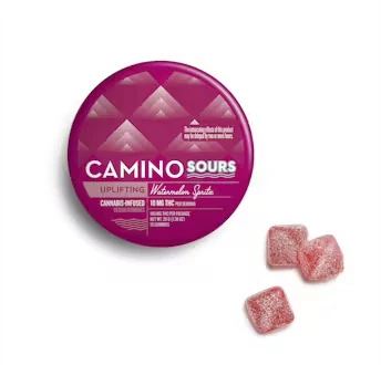 Camino Sours - UPLIFTING Watermelon Spritz 10pk 100mg Main Image