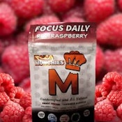Gummies  Focus Daily Red Raspberry