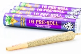 Prime Exotics Purple Kush Preroll - 1G