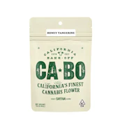 CABO Honey Tangerine Flower (S) 14g