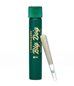 Dog Walker - OMG Big Dogs 1g - Dogwalkers (Stay)