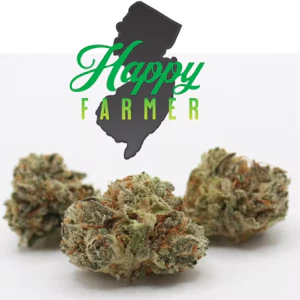 Happy Farmer - Happy Farmer - The Other Stuff 3.5