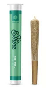 &SHINE - OMG | Single |1g| Pre-Roll | &Shine | Hybrid